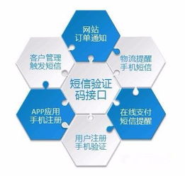 为什么需要这么多的验证码？——数字文化创意内容应用服务的视角